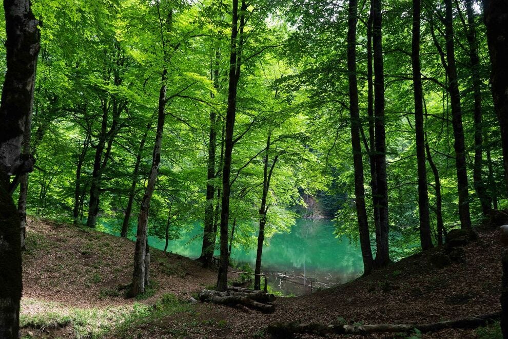 img-DSC7075-0_54_990x660