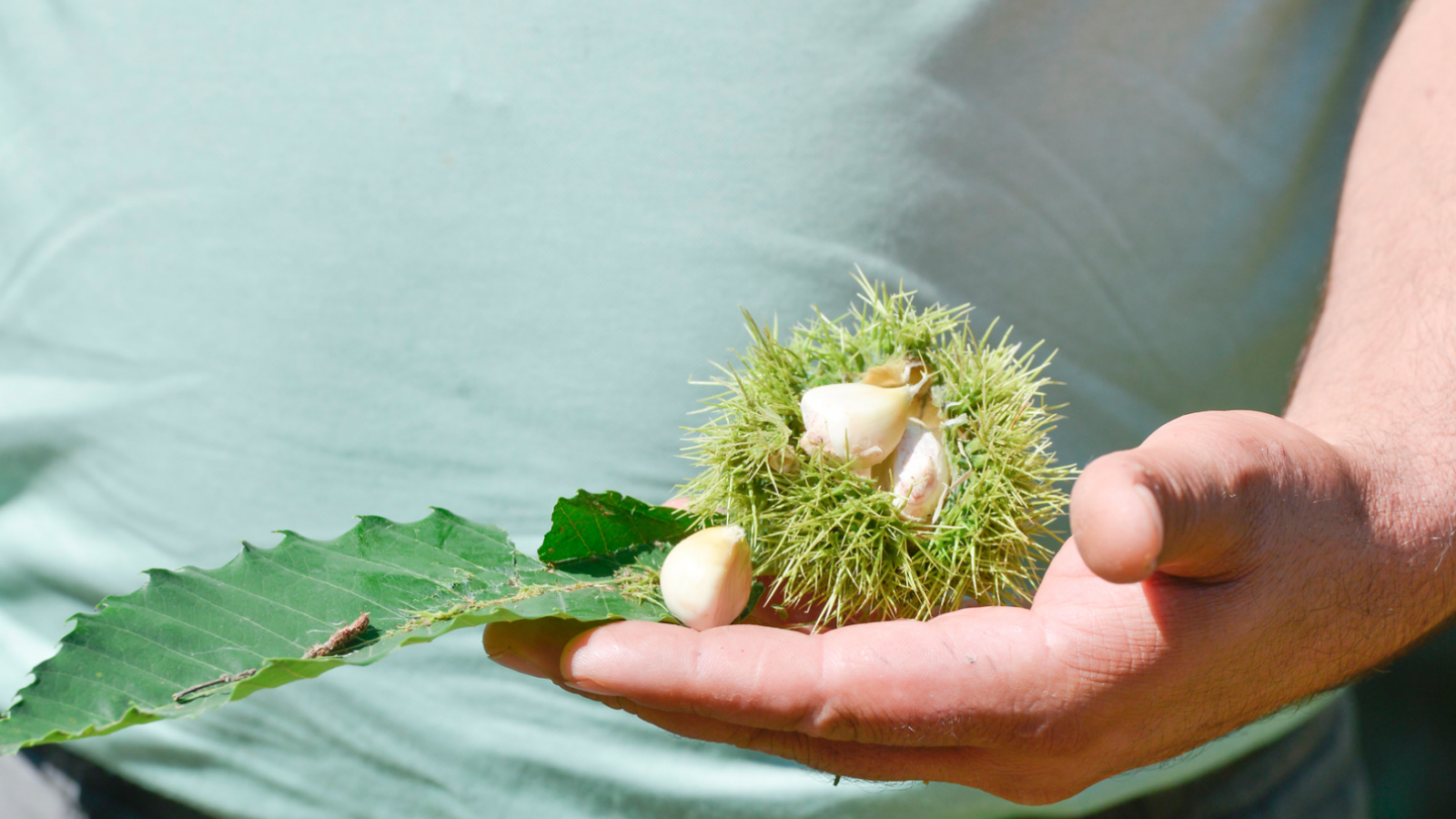 Снимок экрана 2021 03 31 в 11.11.53