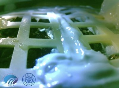 Bildschirmfoto-2021-03-09-um-13.23.29-e1615302512846