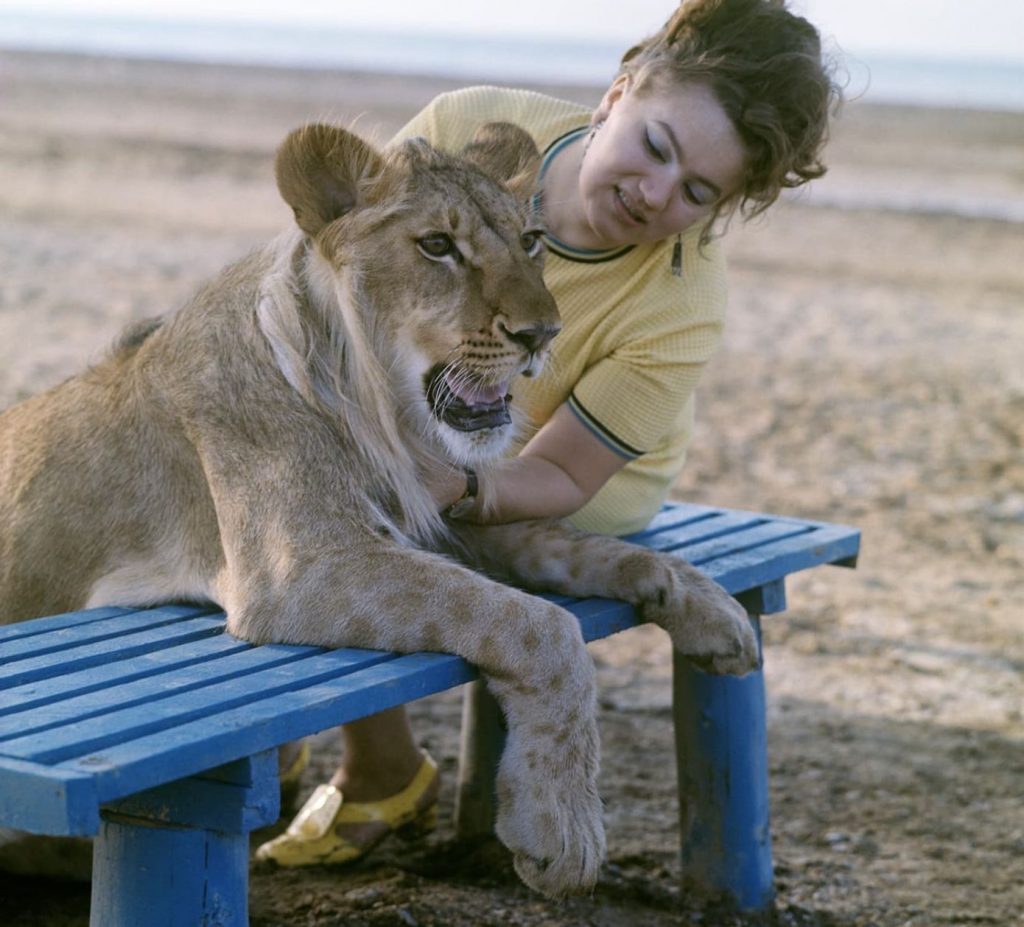 Bildschirmfoto 2021-04-06 um 19.32.16