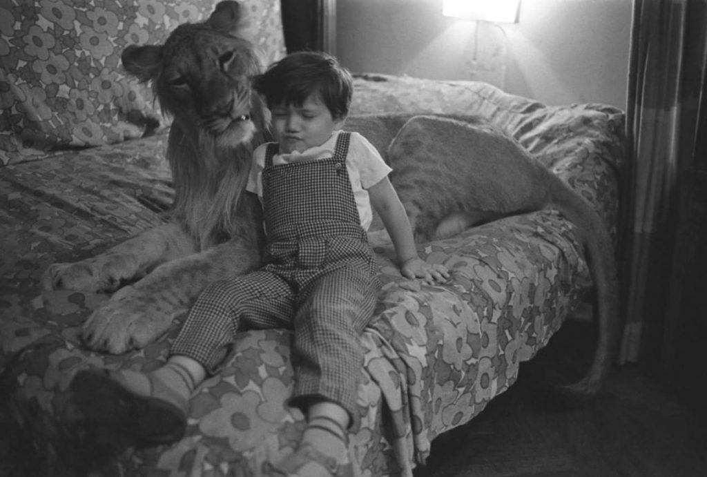 Bildschirmfoto 2021-04-06 um 19.32.18