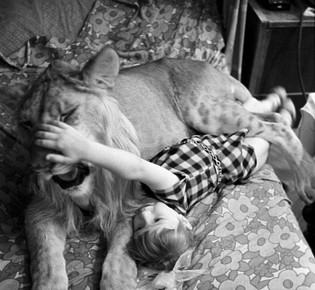 Bildschirmfoto 2021-04-06 um 19.32.38