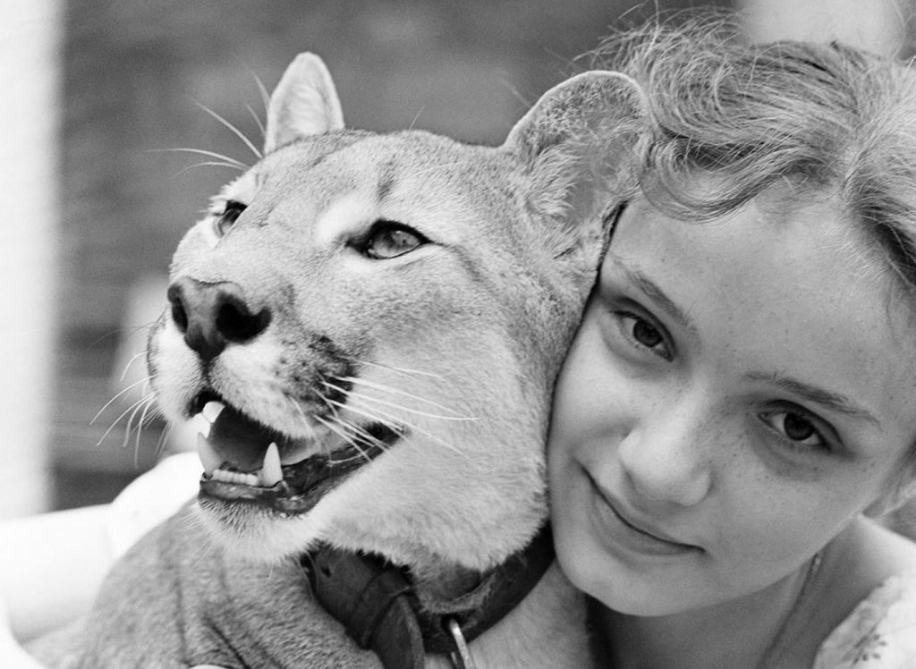 Bildschirmfoto 2021-04-06 um 19.32.51