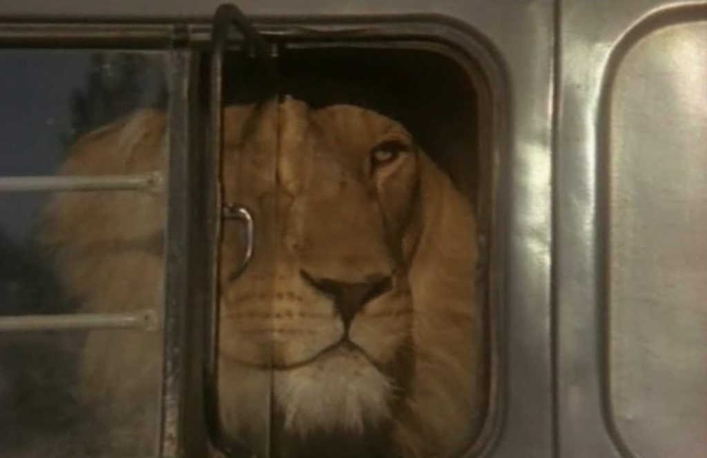 Bildschirmfoto 2021-04-06 um 19.32.53