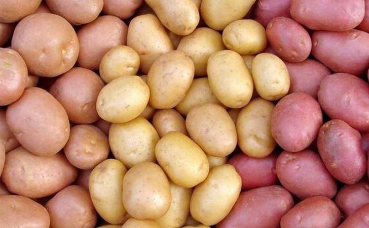 Azerbaijan potato varieties