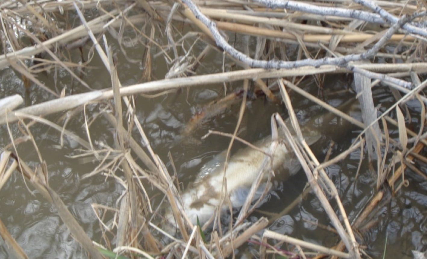 Bildschirmfoto 2021 06 28 um 22.57.56