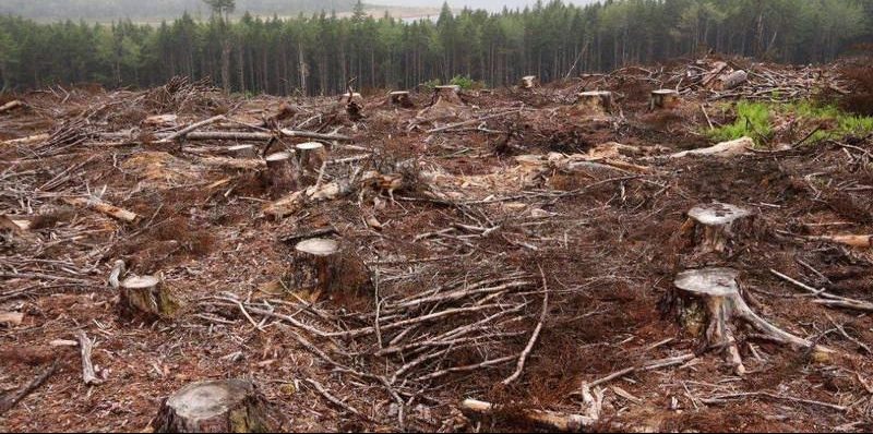 TNA d808e46d aimage story