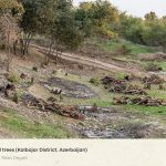 Bildschirmfoto 2021 08 27 um 06.18.29