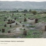 Bildschirmfoto 2021 08 27 um 06.18.34