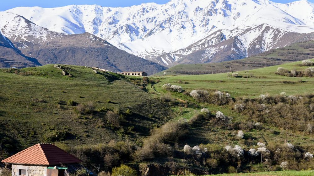 Bigstock blossom trees snow capped mou 352307603 1320x742