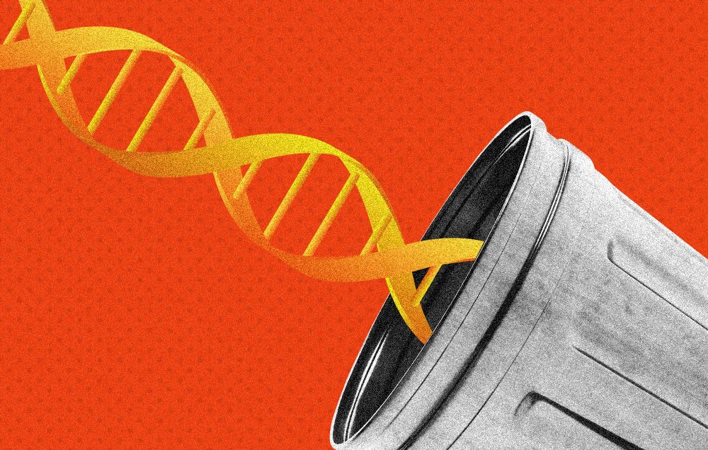 Most of dna is garbage 3