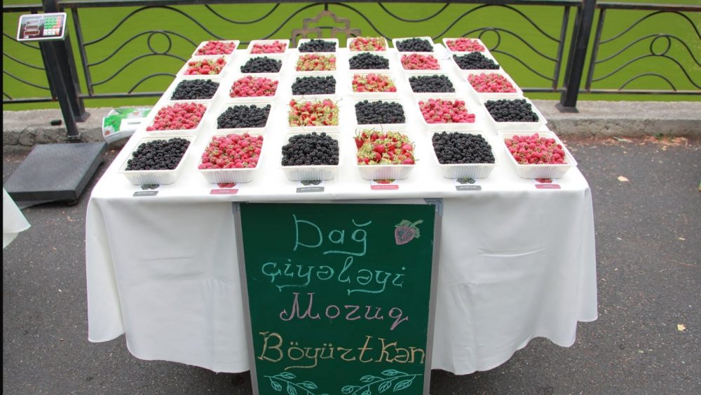 Снимок экрана 2021 09 07 в 09.31.39