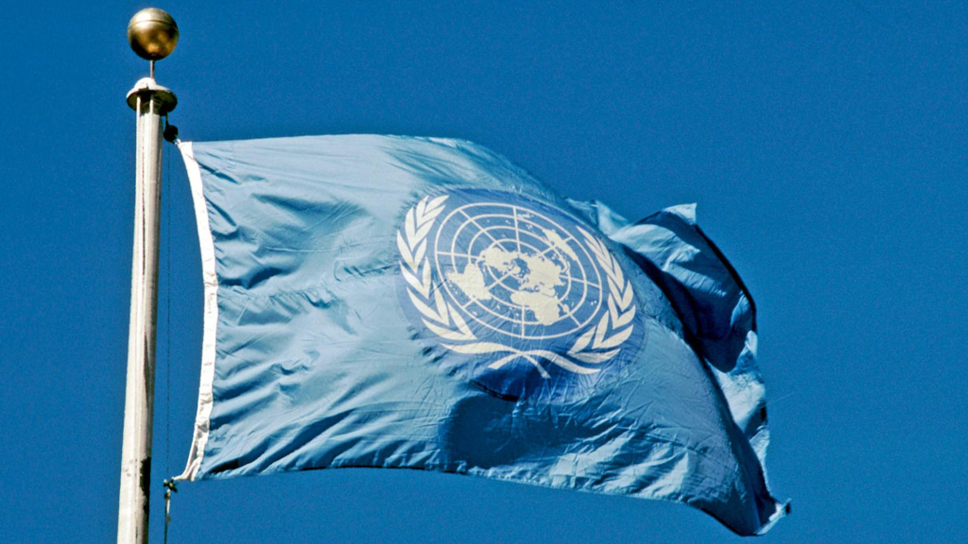 UNDP SV UN Flag