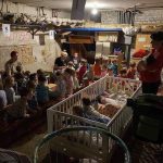 IMAGE 2022 03 19 22:31:50