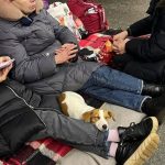 IMAGE 2022 03 19 22:31:54