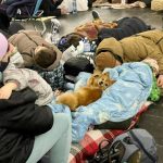 IMAGE 2022 03 19 22:31:57