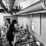 IMAGE 2022 03 19 22:32:21