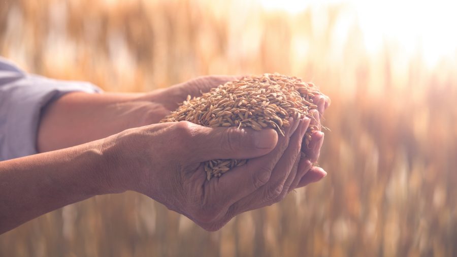 D9d75f4e5a014a9a9e2aff58553618ee