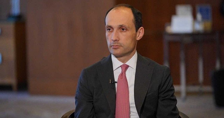 Economyministerdavitashvvili