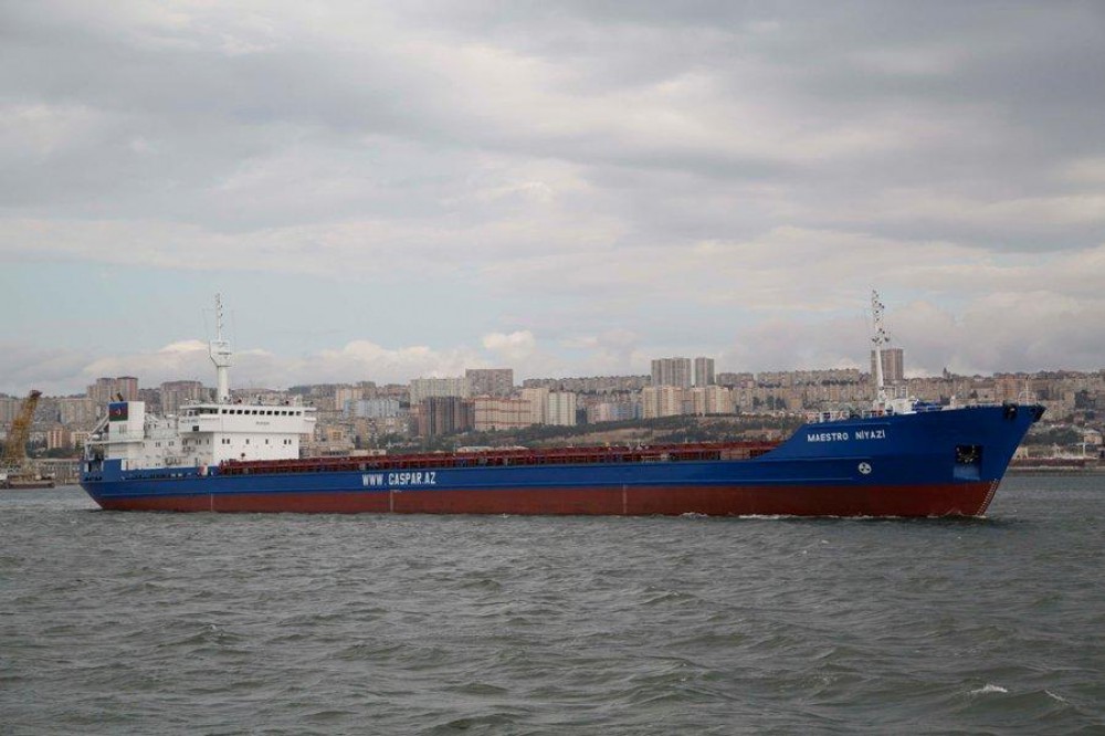 14449906246009850695 1000x669