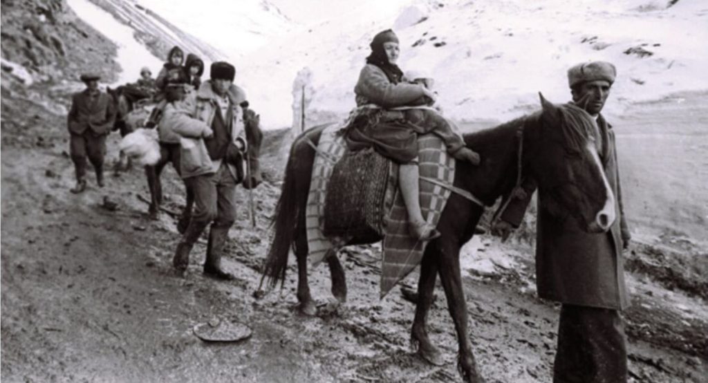 1313D8F3-DBC6-4F36-AA3B-B6077BA7D08E