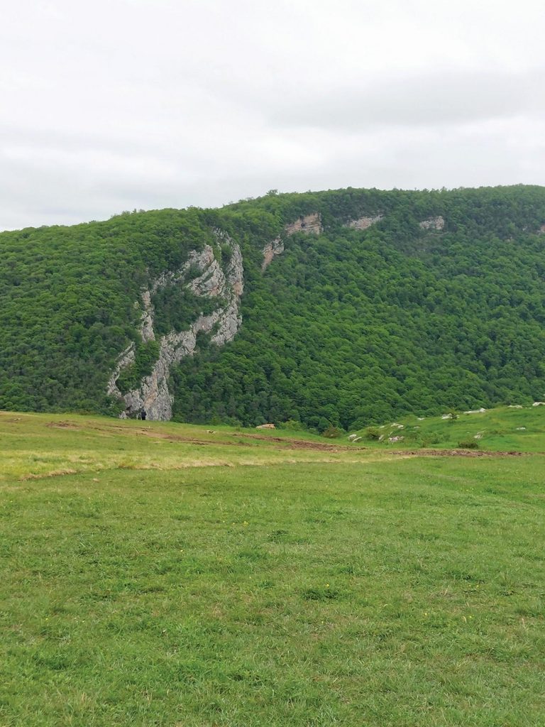 2432b62bfbeb8e3ca1b3b16cc900cd18874cf28f-1660310210-e4a4a3c0-1920x1280