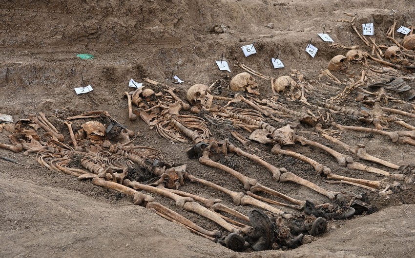 80c89ea9 6d94 3cc9 a11e 24bd8053503d