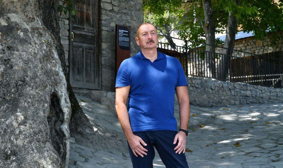 1660323740705948109 1000x669