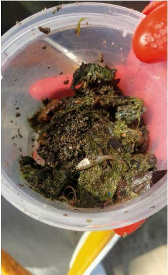 ekoloji_iclas_081222_002