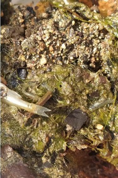 ekoloji_iclas_081222_003