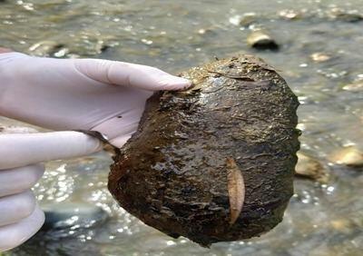 ekoloji_iclas_081222_004_(1)