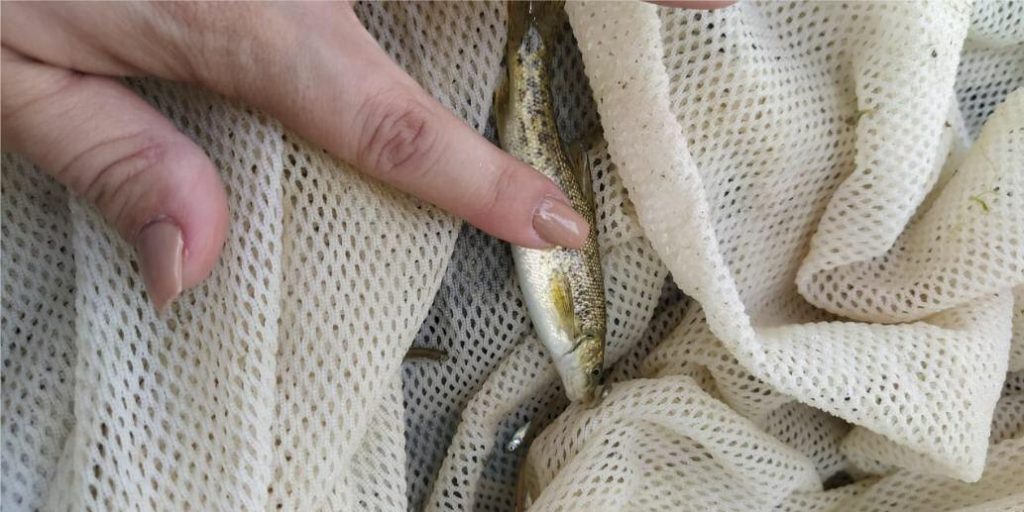 ekoloji_iclas_081222_005