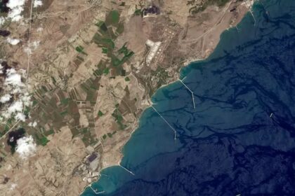 107190087 1675778985272 gettyimages 486221050 ED