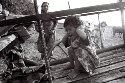 1614249359 8315632 1614249263 29716164 New folder 3 thu vLl9ukY