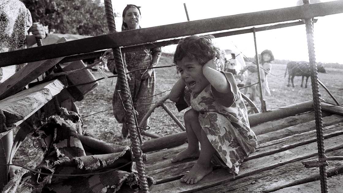 1614249359 8315632 1614249263 29716164 New folder 3 thu vLl9ukY