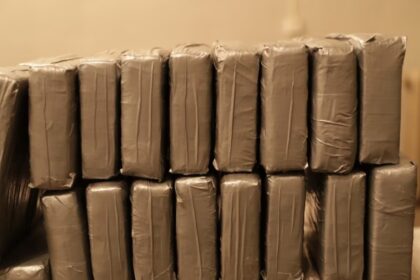 01000000 0a00 0242 674b 08db56a85bbd w1200 r1