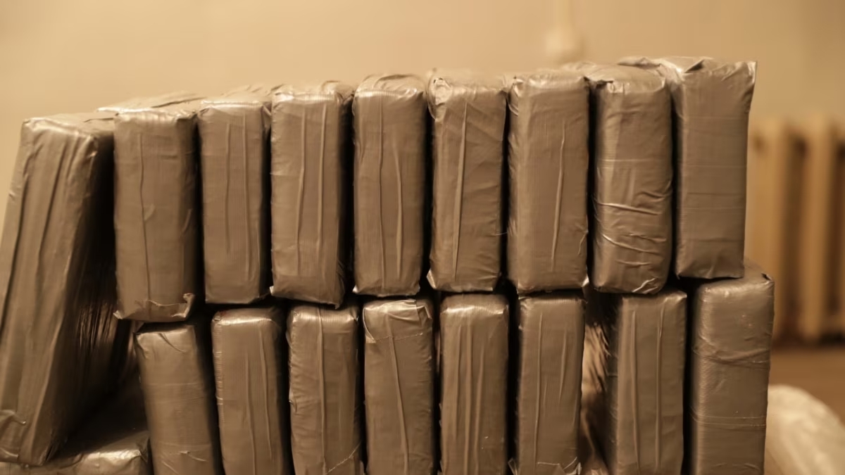 01000000 0a00 0242 674b 08db56a85bbd w1200 r1