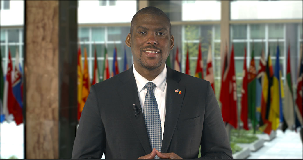 Ambassador Hogan Flags