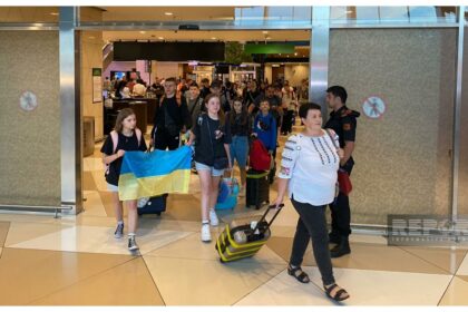 81b6e810 b498 3cda 992c 5f1879b8a7fb