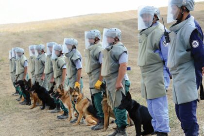 90B53CAD 5CE2 4CAB B4E6 CB88DA87C3AA e1667821393103