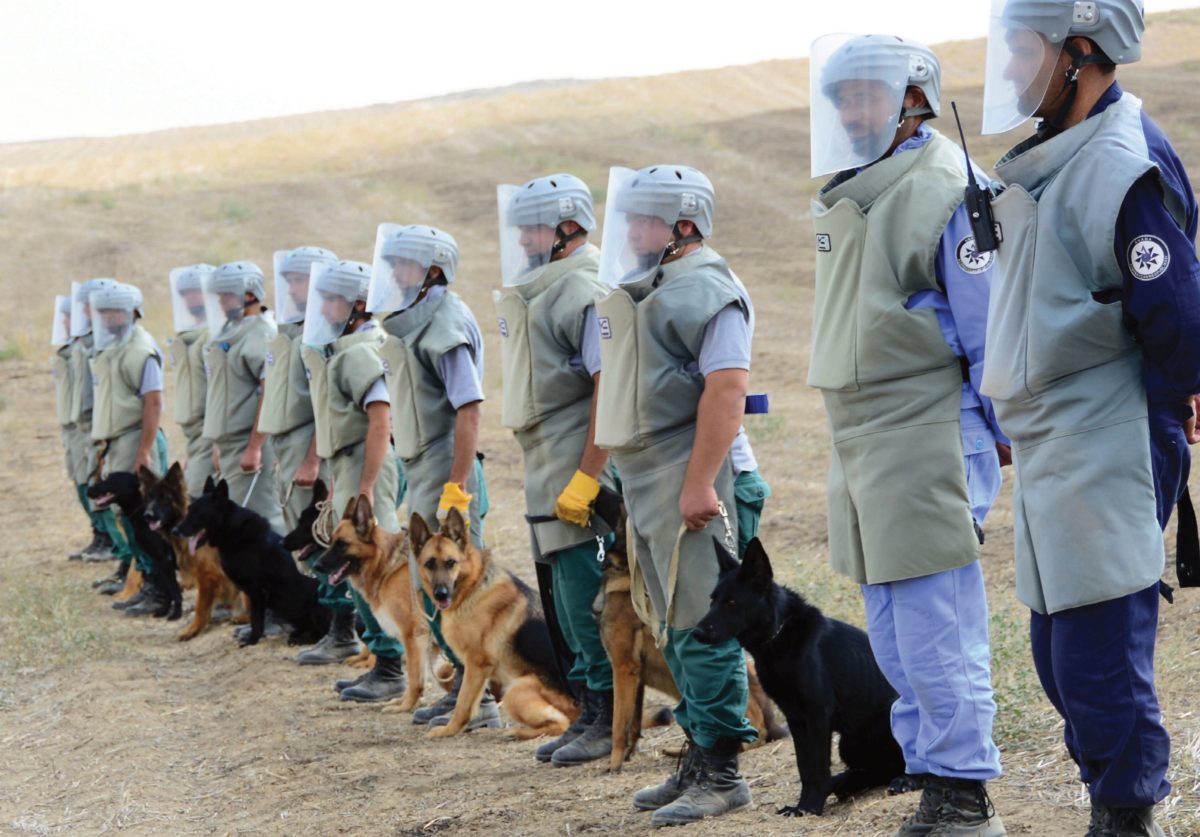 90B53CAD 5CE2 4CAB B4E6 CB88DA87C3AA e1667821393103