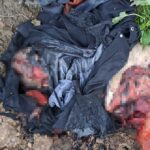 IMAGE 2023 09 19 10:28:10