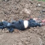 IMAGE 2023 09 19 10:28:12