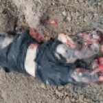 IMAGE 2023 09 19 10:28:13