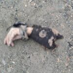 IMAGE 2023 09 19 10:28:15