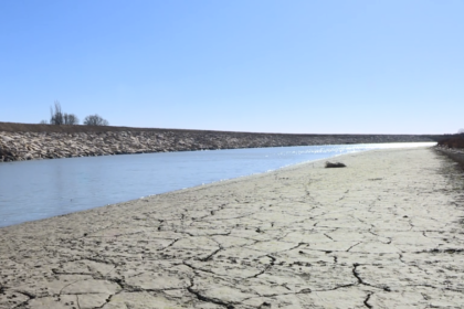 16778540703943327331 1200x630