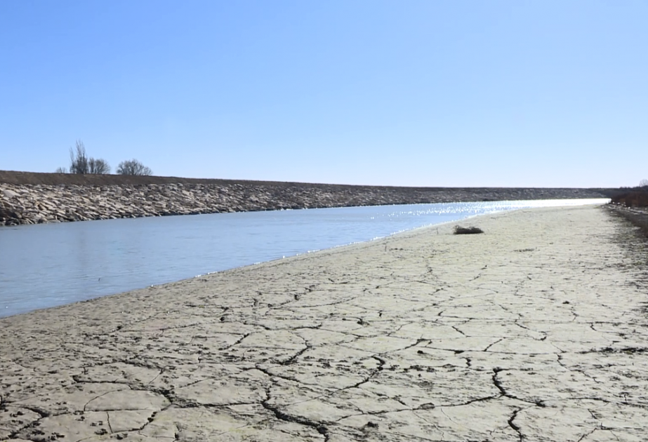 16778540703943327331 1200x630