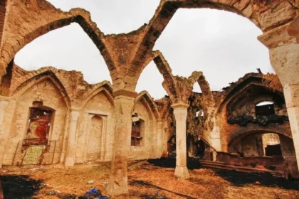 1 Lu8na4rum8c2mn7j6dnupq