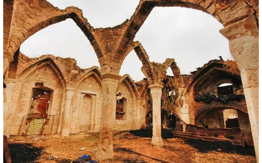 1 Lu8na4rum8c2mn7j6dnupq