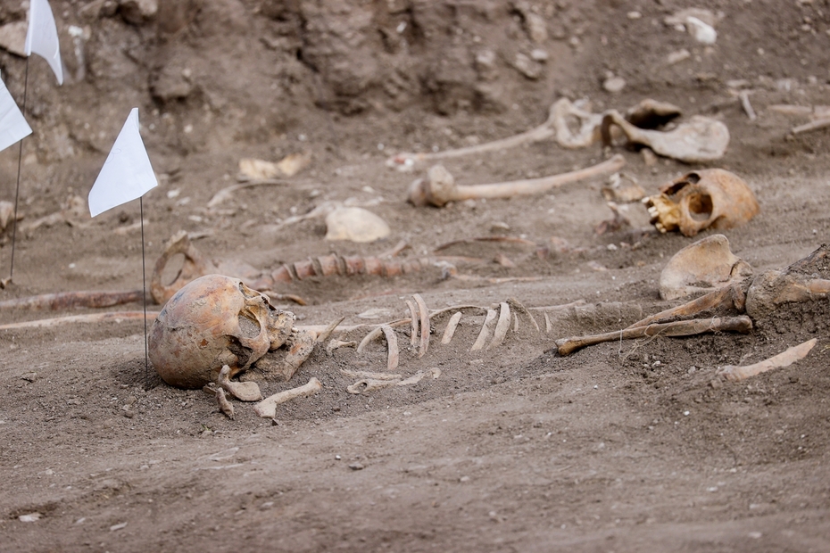 98b6fdcc D48f 11ee A05a 02420a0000c9 930